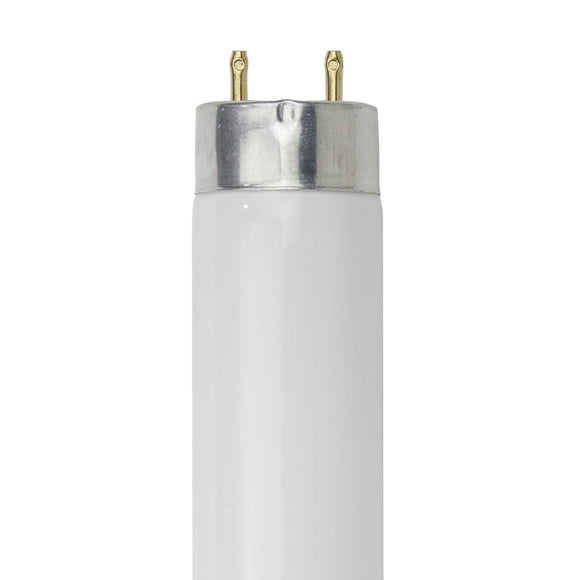 Linear Fluorescent - T8 High Performance Straight Tube - 32 Watt - 3100 Lumens  - Super White - 5000 Kelvin