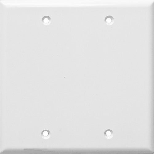 Morris Products 81521 White 2 Gang Blank