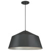Westinghouse 6372900 One Light Pendant - Matte Brushed Gun Metal Finish