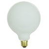 Incandescent - G40 Globe - 60 Watt - 498 Lumens  - Warm White - 2700 Kelvin