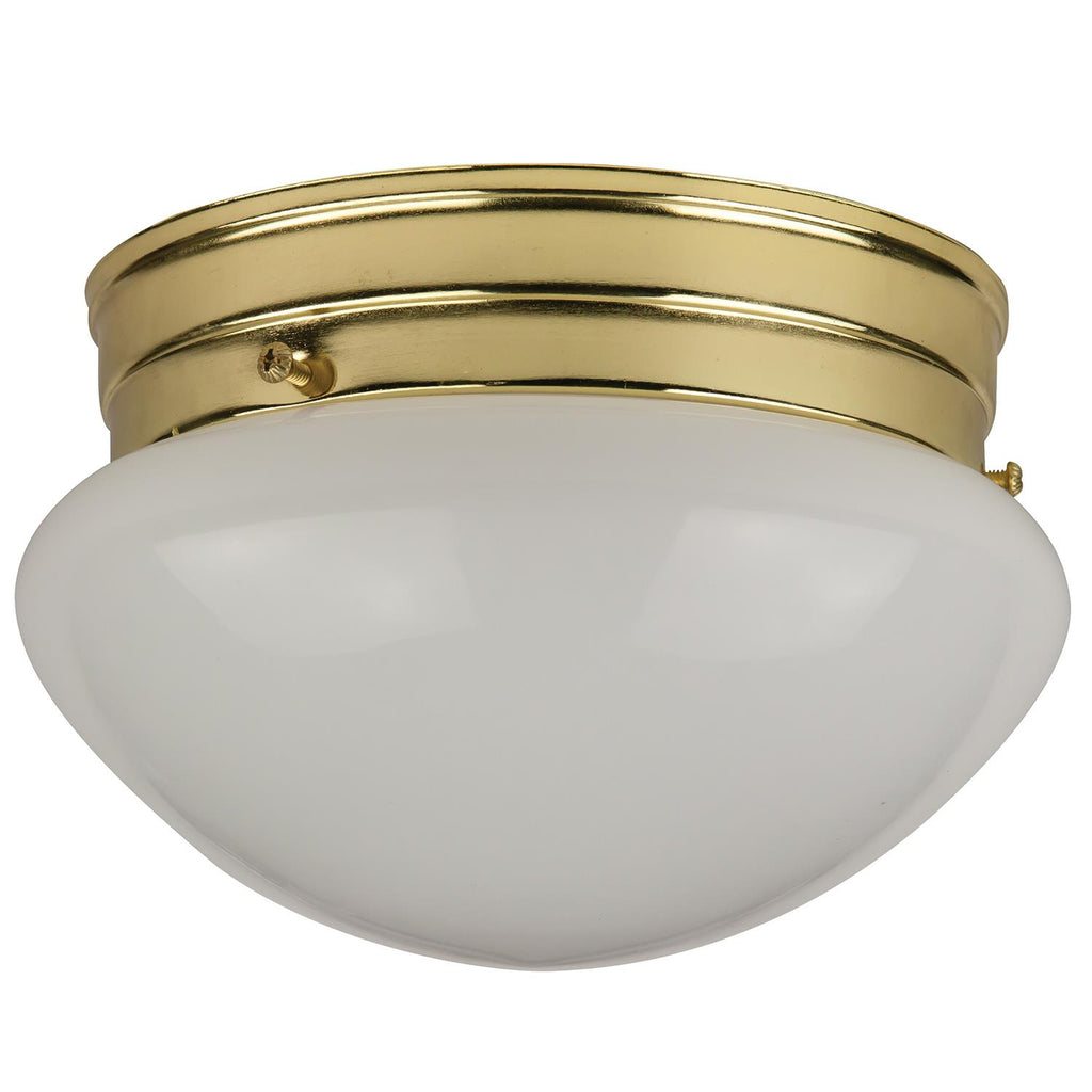 Fluorescent - Ceiling Space Collection  - 1250 Lumens  - Warm White - 2700 Kelvin