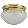 Fluorescent - Ceiling Space Collection  - 1250 Lumens  - Warm White - 2700 Kelvin