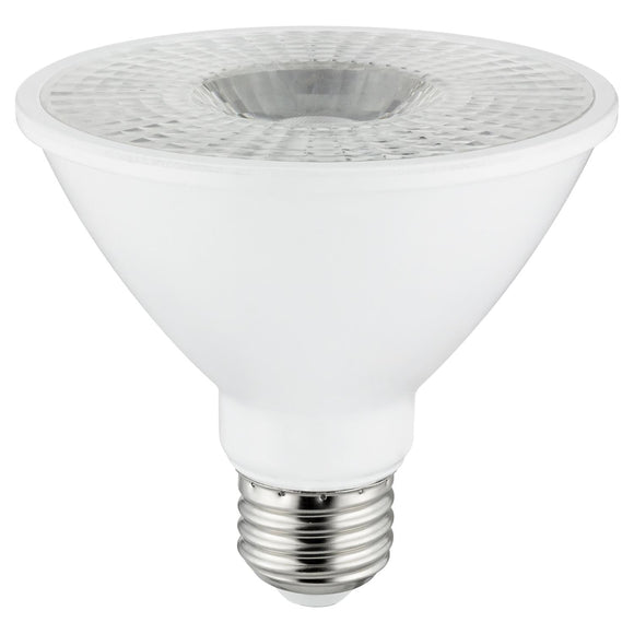 LED -10 Watt - 750 Lumens  - Super White - 5000 Kelvin