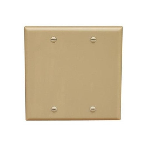 Morris Products 81520 Ivory 2 Gang Blank