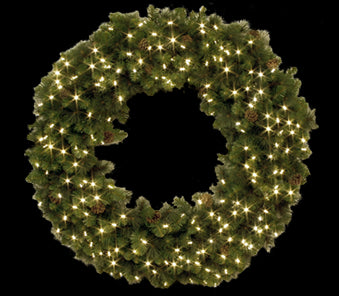 American Lighting 031-LED-WRB-60