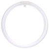 Linear Fluorescent - T9 Circline - 32 Watt - 2100 Lumens  - Cool White - 4100 Kelvin