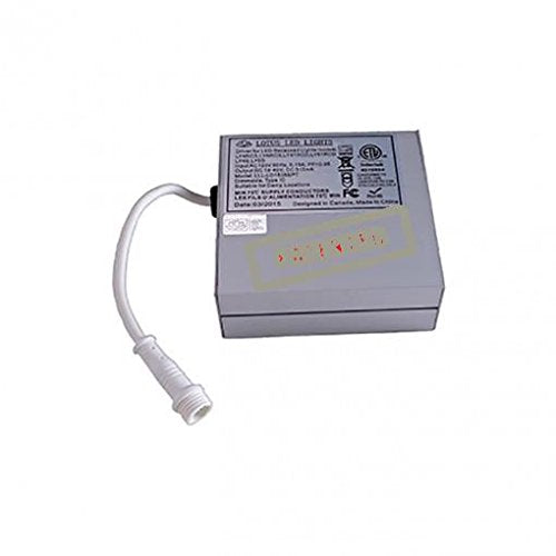 Lotus LED Lights - 120-347 Volts Input Driver – lightingnbeyond.com