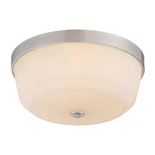 NUVO Lighting 60/5824 Fixtures Ceiling Mounted-Flush