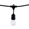 Bulbrite 810139 - 48 ft LED String Light Kit - 15 Sockets - E26 Base - Black Wire with 0.7 Watt S14 Frost Finish Lamps - STRING15/E26/BLACK-LEDS14KT