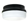 LED - Porch Lighting - 23 Watt - 1900 Lumens  - Cool White - 4100 Kelvin
