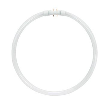 Satco S8163 Fluorescent Circline T5