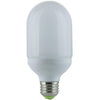 Compact Fluorescent - Jar - 14 Watt - 800 Lumens  - Warm White - 2700 Kelvin