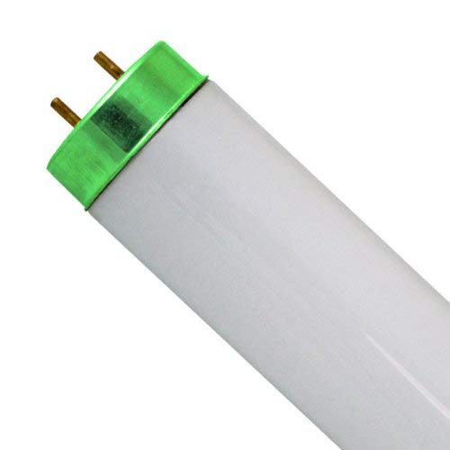 Satco S6563 Fluorescent T12
